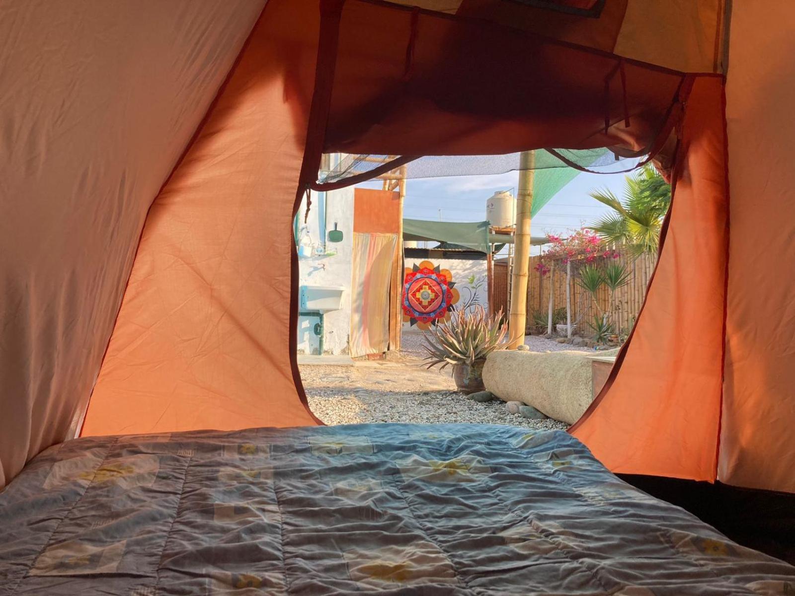 Paracas Camp Lodge & Experiences Eksteriør bilde